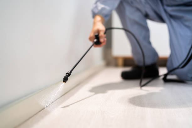 Licensed Termite Control service in Norton County County, KS - Nex Pest Control