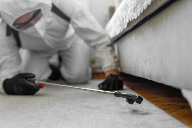 Professional Termite Control technician working in Norton County County, KS